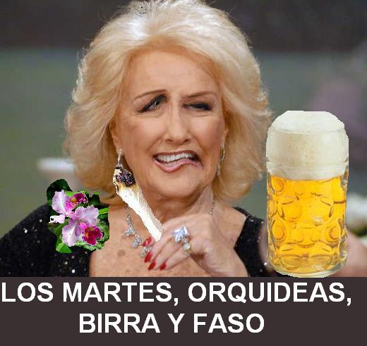 LOS+MARTES+ORQUIDEAS+BIRRA+Y+FASO
