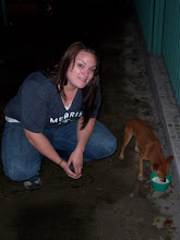 Me feeding the neighborhood dog - or is it a cayote? we still cant figure it out