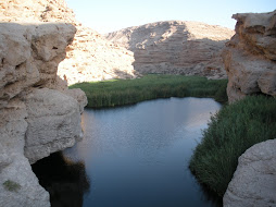 Cliff jumping at Wadi Uyun