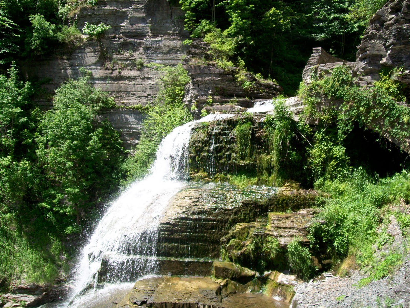 Sister Zwick "Ithaca is