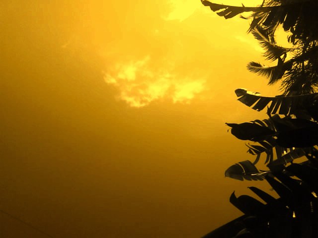 [DSC00984.JPG]