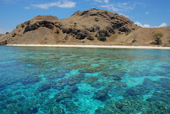 Hands down, top scuba location!