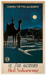 Night time Camel
