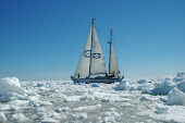 S.Bieniek - Antarktyda