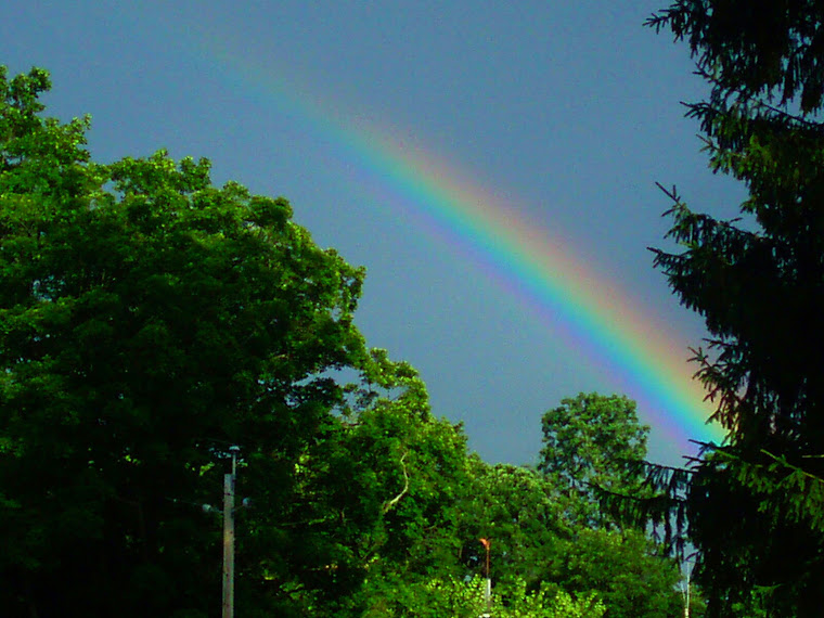 Rainbow on the 4th