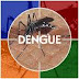Epidemia del dengue amenaza a Latinoamérica