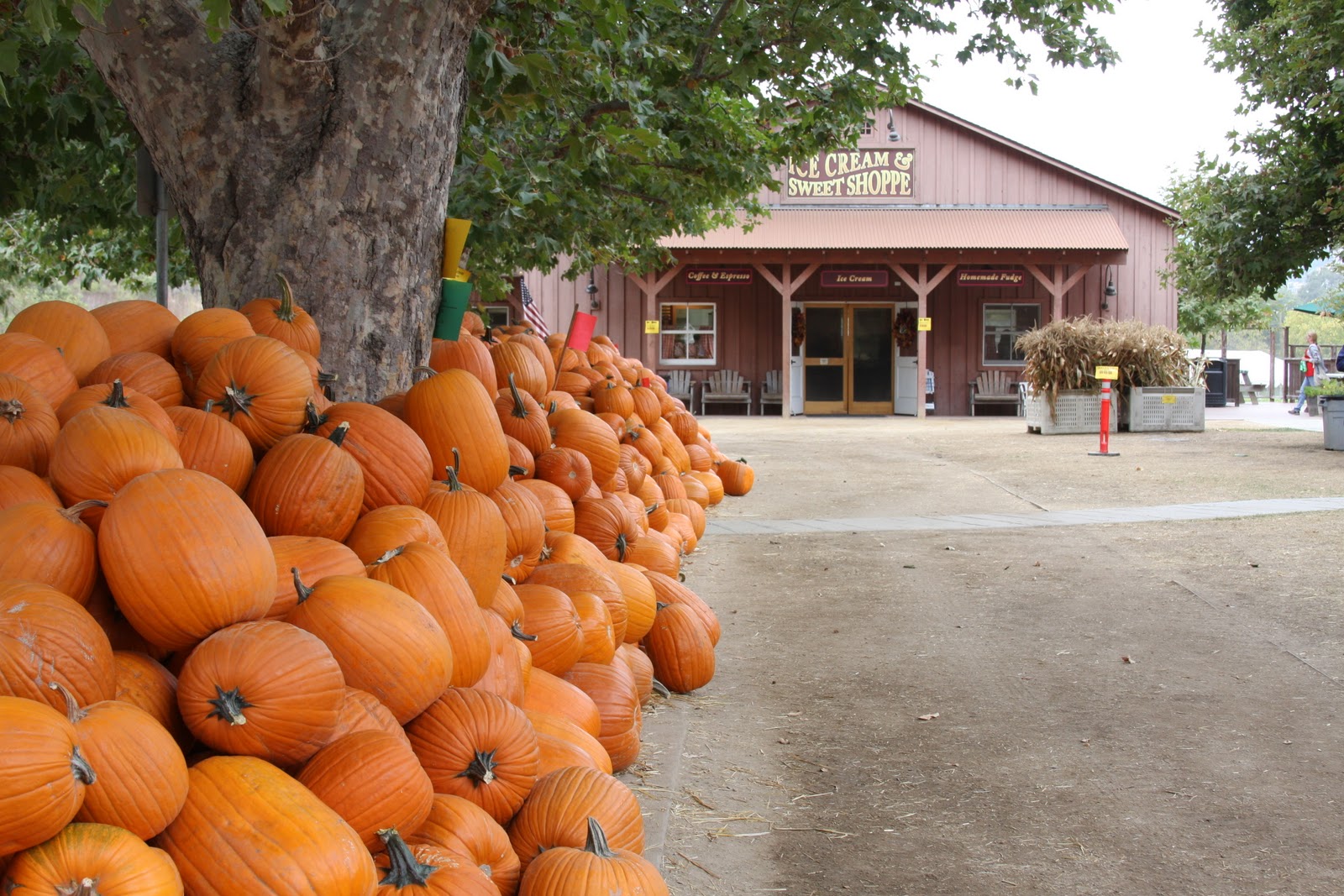 Dreamy Whites Avila Valley Barn