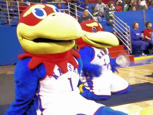 [jayhawk.jpg]