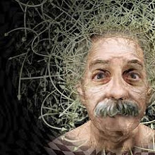 EL NIÑO DE LOS CABLES