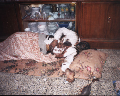 [unknown.ext]
