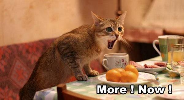 [breakfast.bmp]