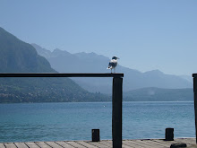 A seagull's botty, lake Annecy and a few mountains