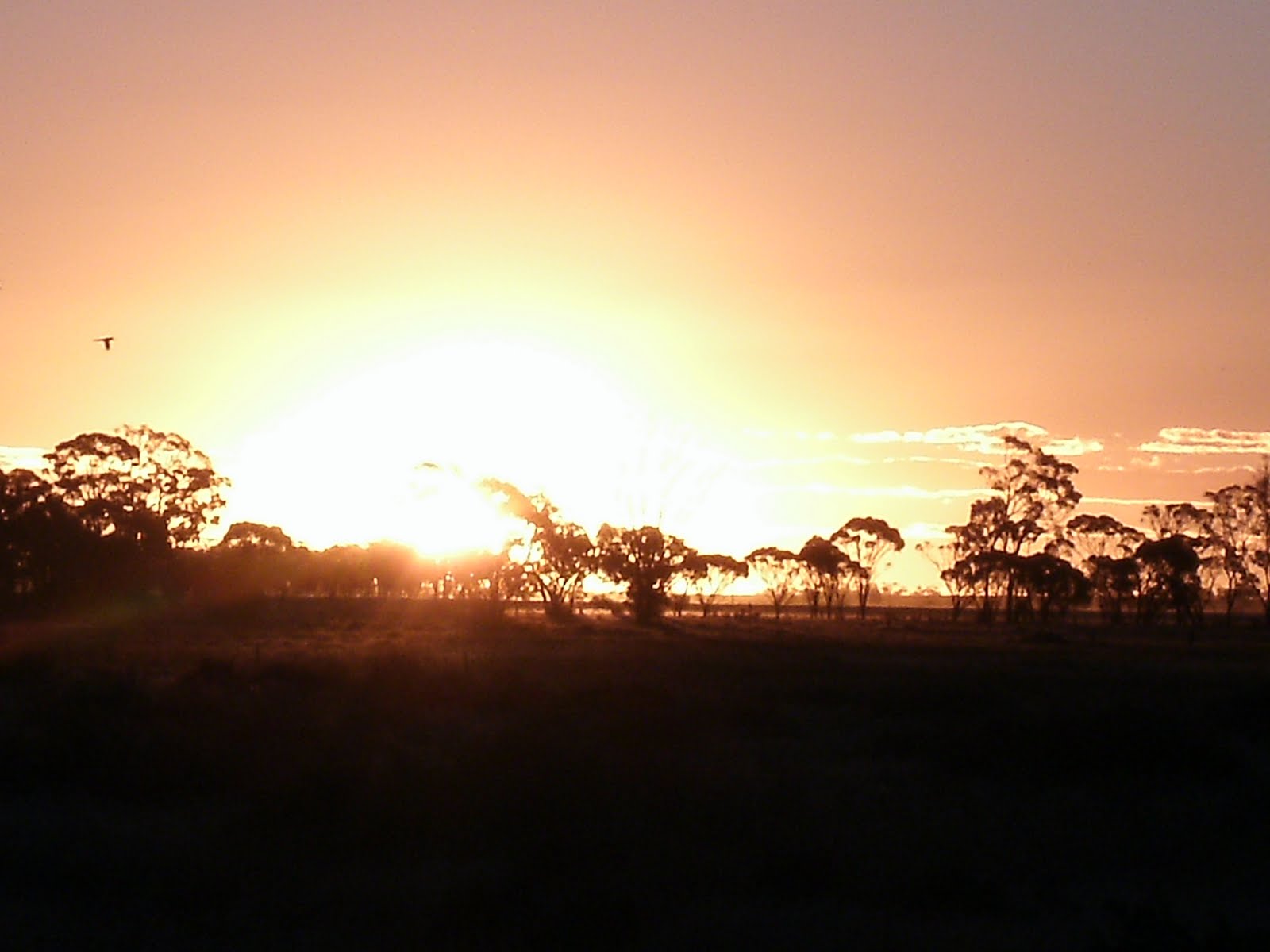 outback sunset