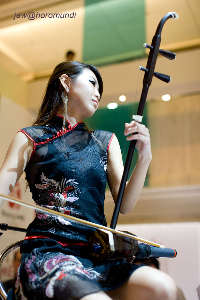 [chinese+girl+and+traditional+music+instrument14.jpg]