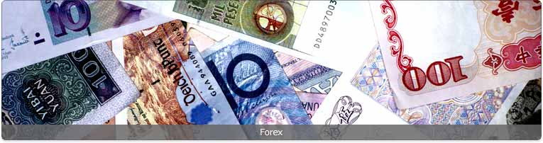 Forex Banner