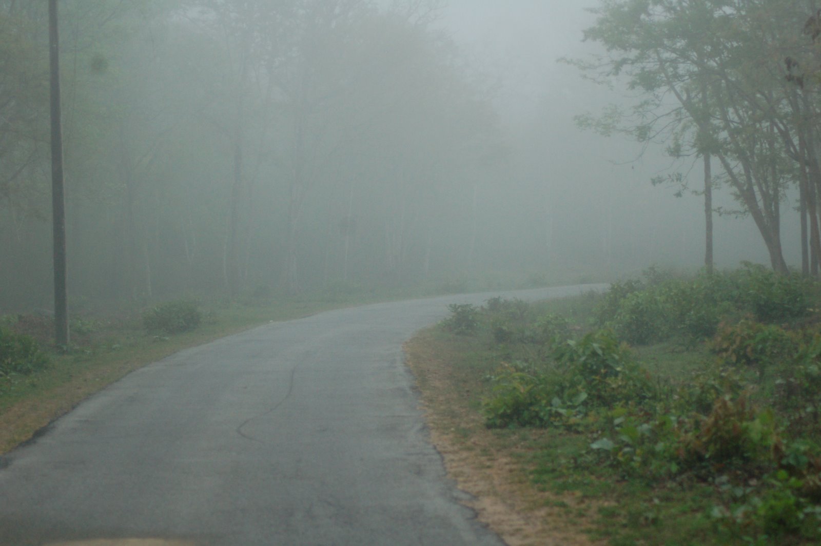 [DSC_0341.JPG]