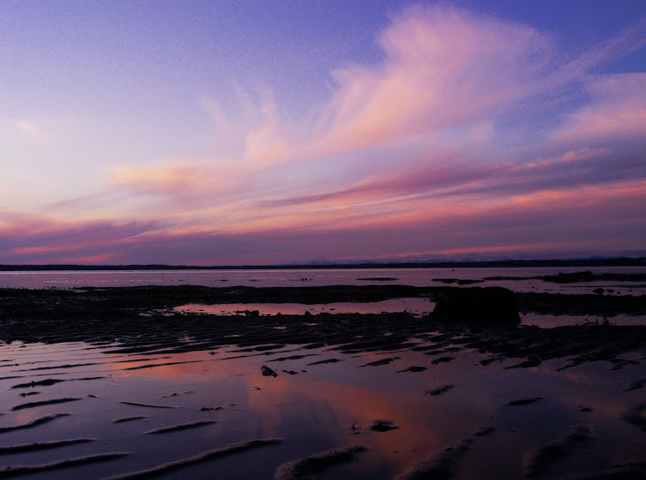 Puget Sound, Washington