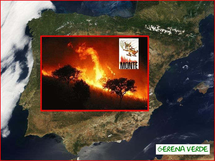 [peninsula+ibérica+arrasada+por+los+incendios+forestales.JPG]