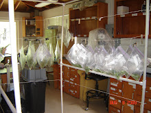 Laboratory at Southwestern Research Station