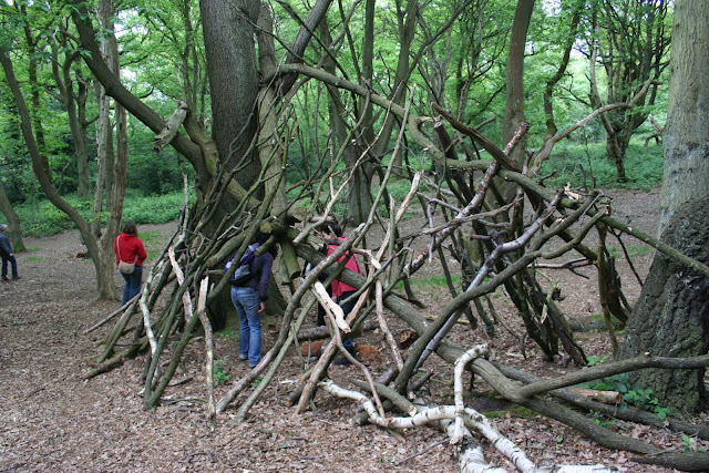 Woodland 'sculptures'.