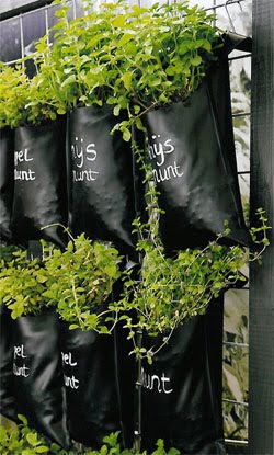 groeizakken.jpg