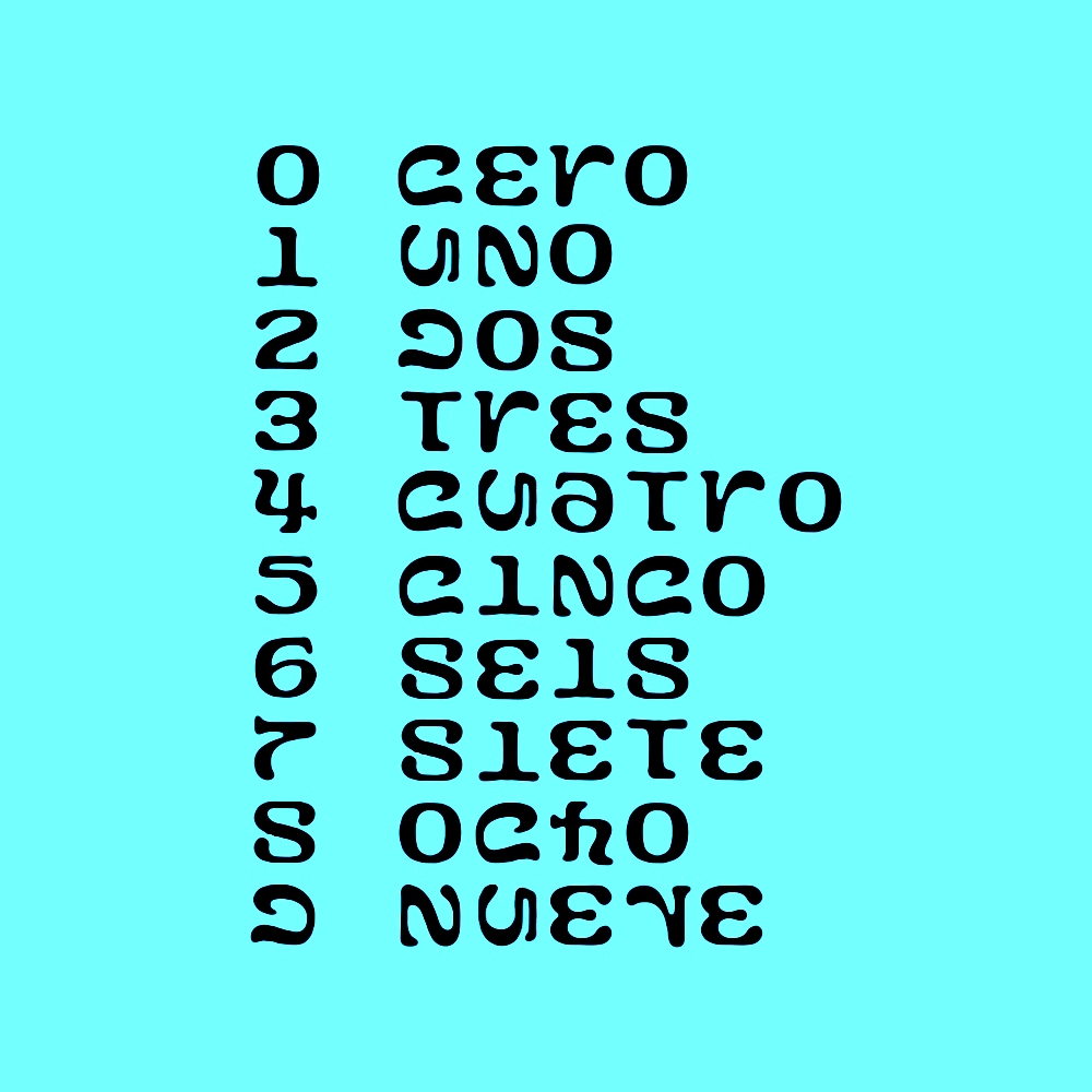 Servicio Educativo En Lenguaje Y Literatura Escritura De Los