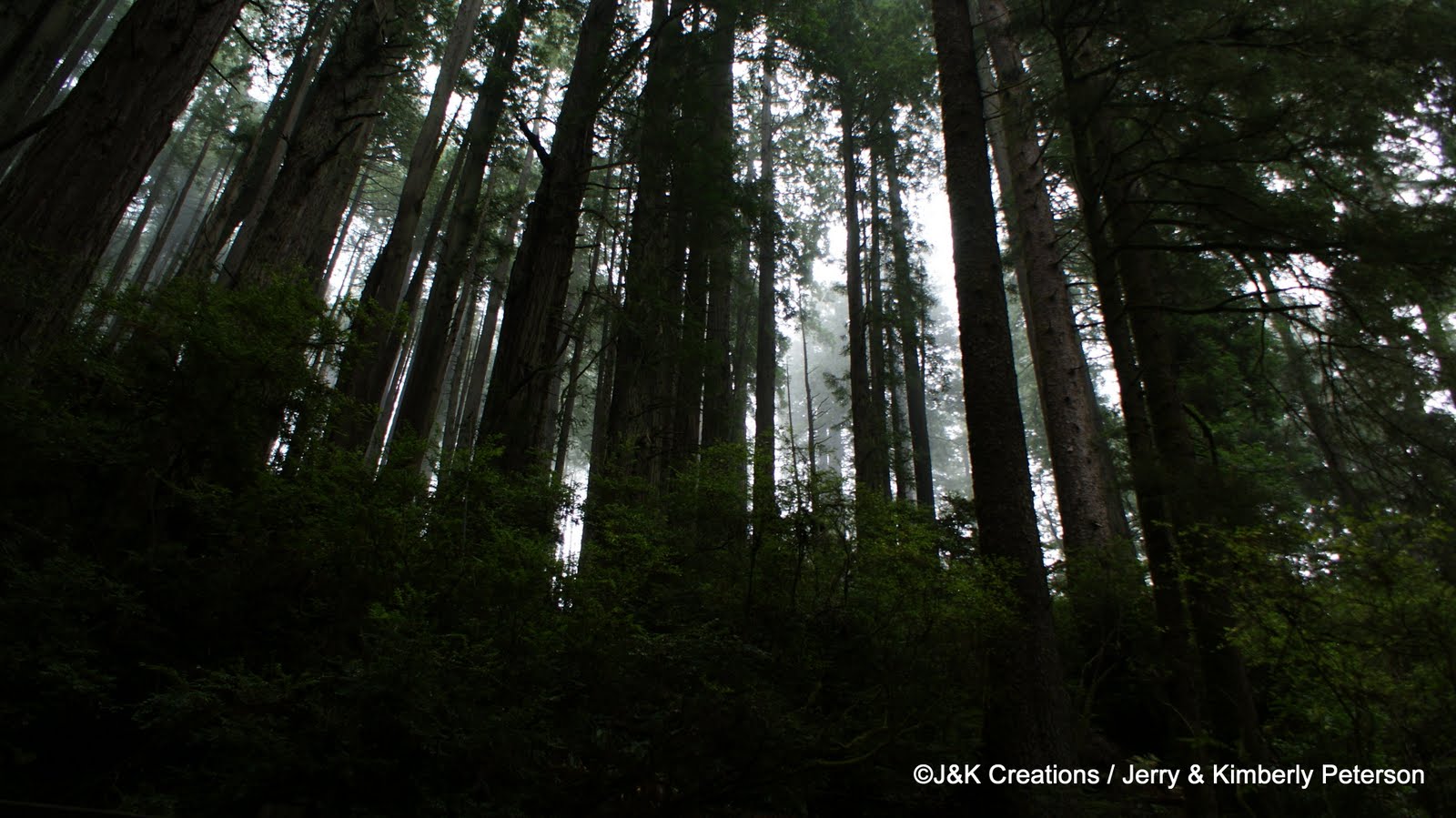 Along the Way with J&K... Trees of Mystery and Sky Trail