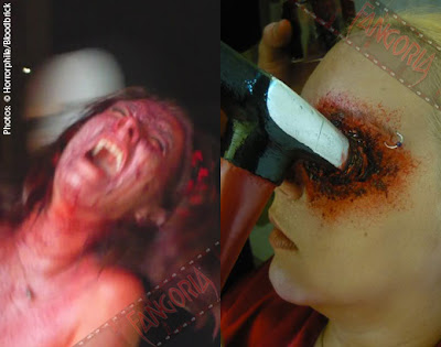 Possum_Walk_Hammer_in_eye_splatter_pic_image_immagine