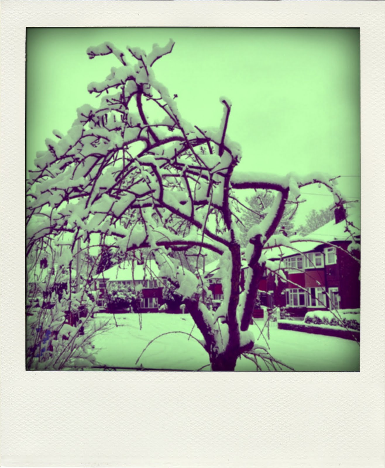 [snowday6-pola.jpg]