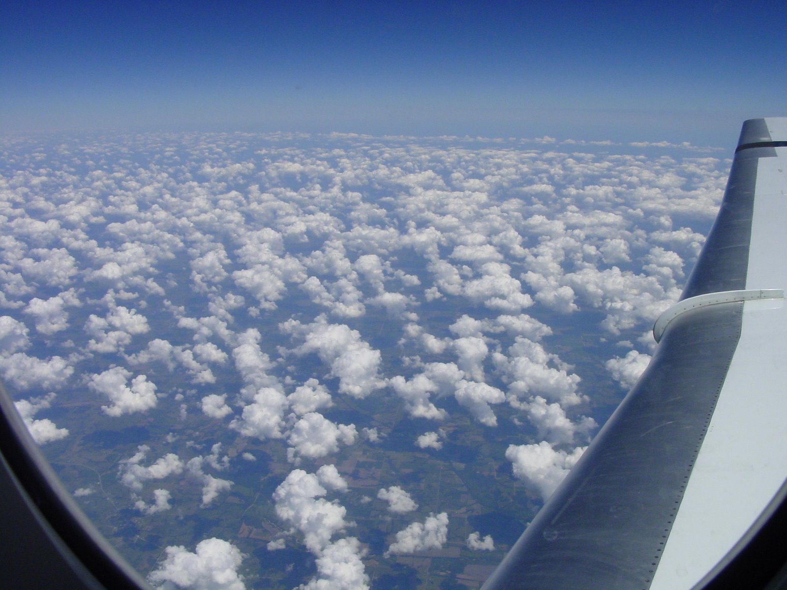[DSC00008.JPG]