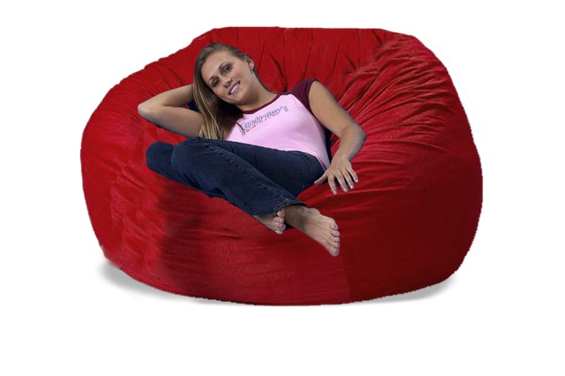 [beanbagchair.jpg]