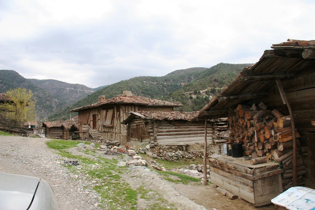 [IMG_8944.JPG]