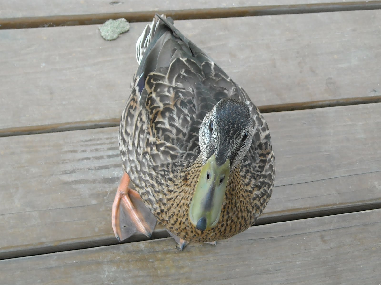 Have Retirement. Will Travel. August 2010