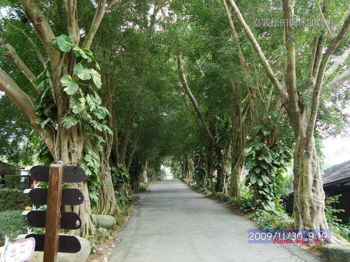 [20091130松田崗農場_167.JPG]