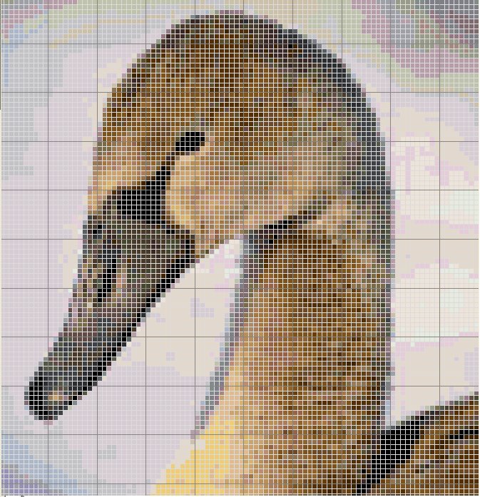 [pato.bmp]