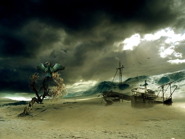 [n578507389_576450_4887.jpg]