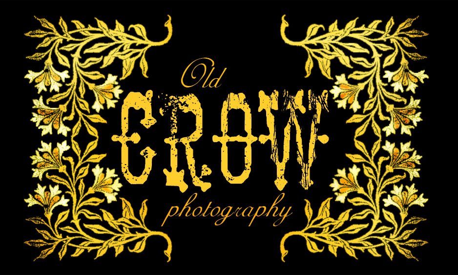 Old Crow Photography