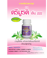 ตรีมูรติ เอ็น 222