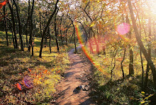 Devil's Lake, WI