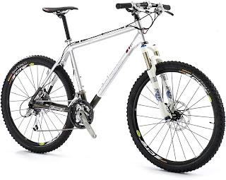 mountainbike focus raven