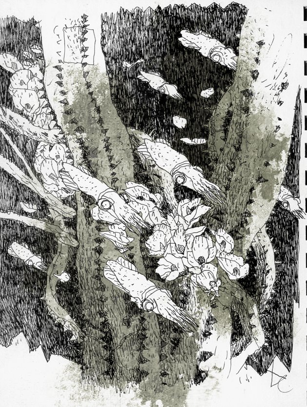 [cactusthornscopy.jpg]