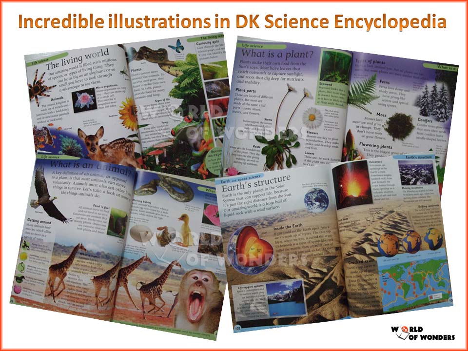 World of Wonders DK Science Encyclopedia