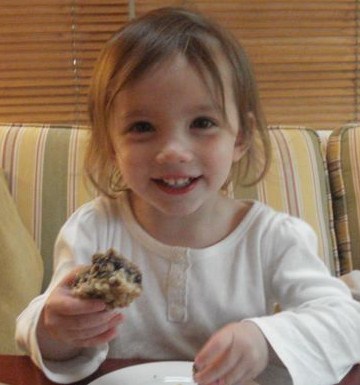 Blueberry Oatmeal Squares