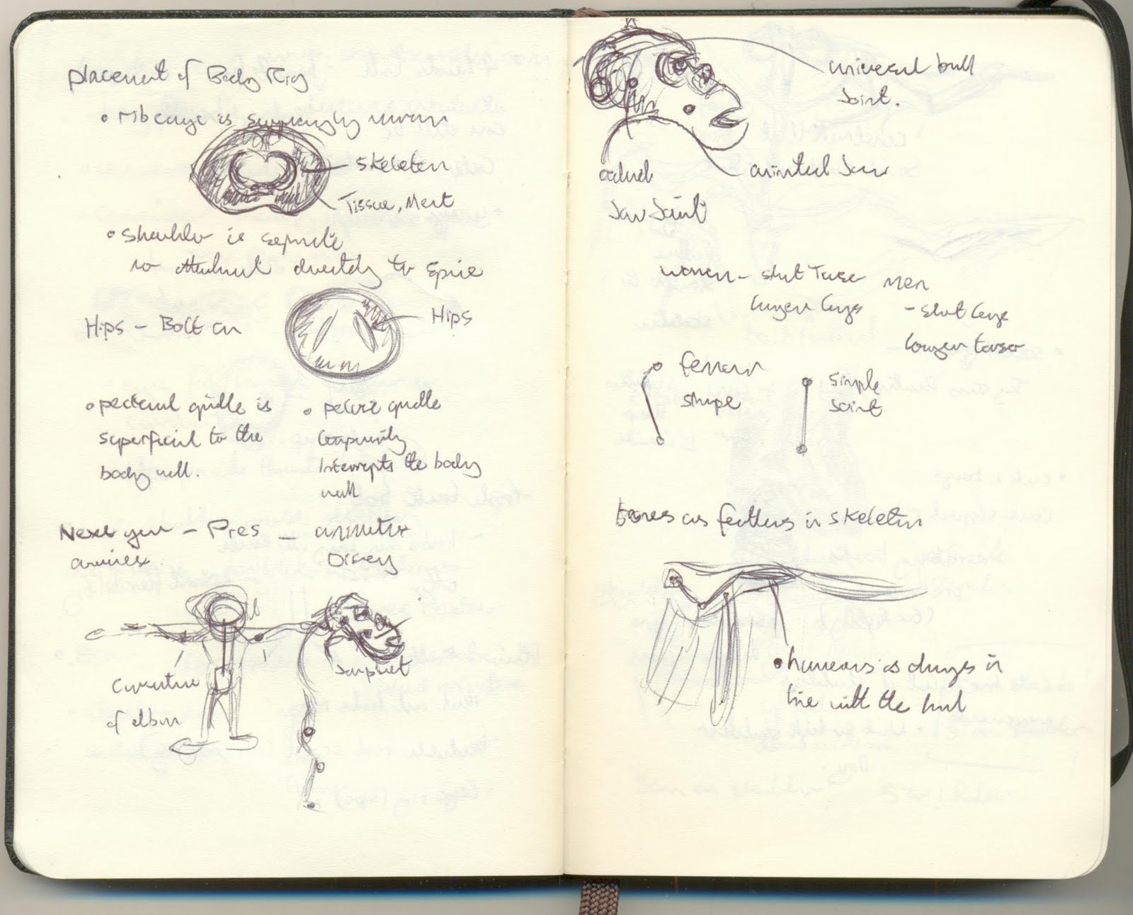 [notes+003.jpg]