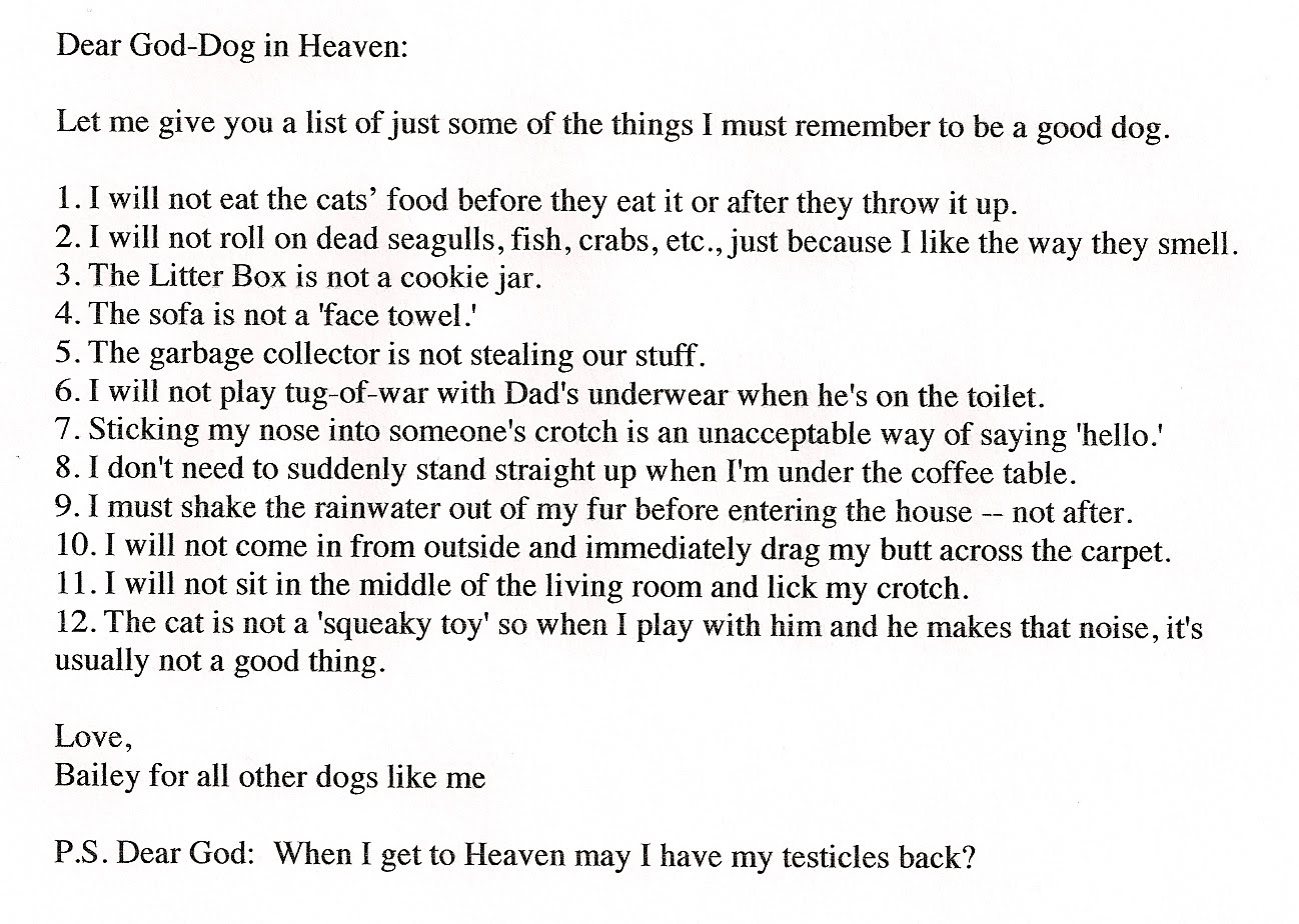 Dog Heaven