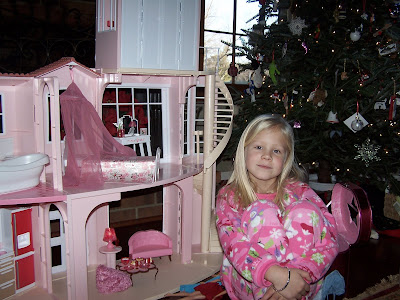 barbie big house