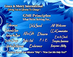 GMI Principles
