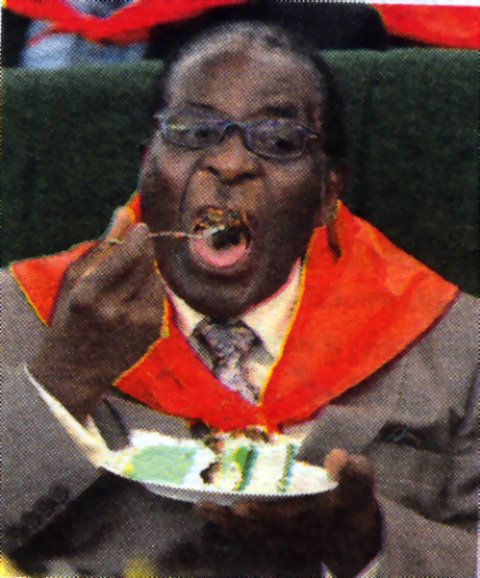 [mugabe[1].BMP]