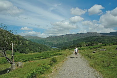 Wales 2010