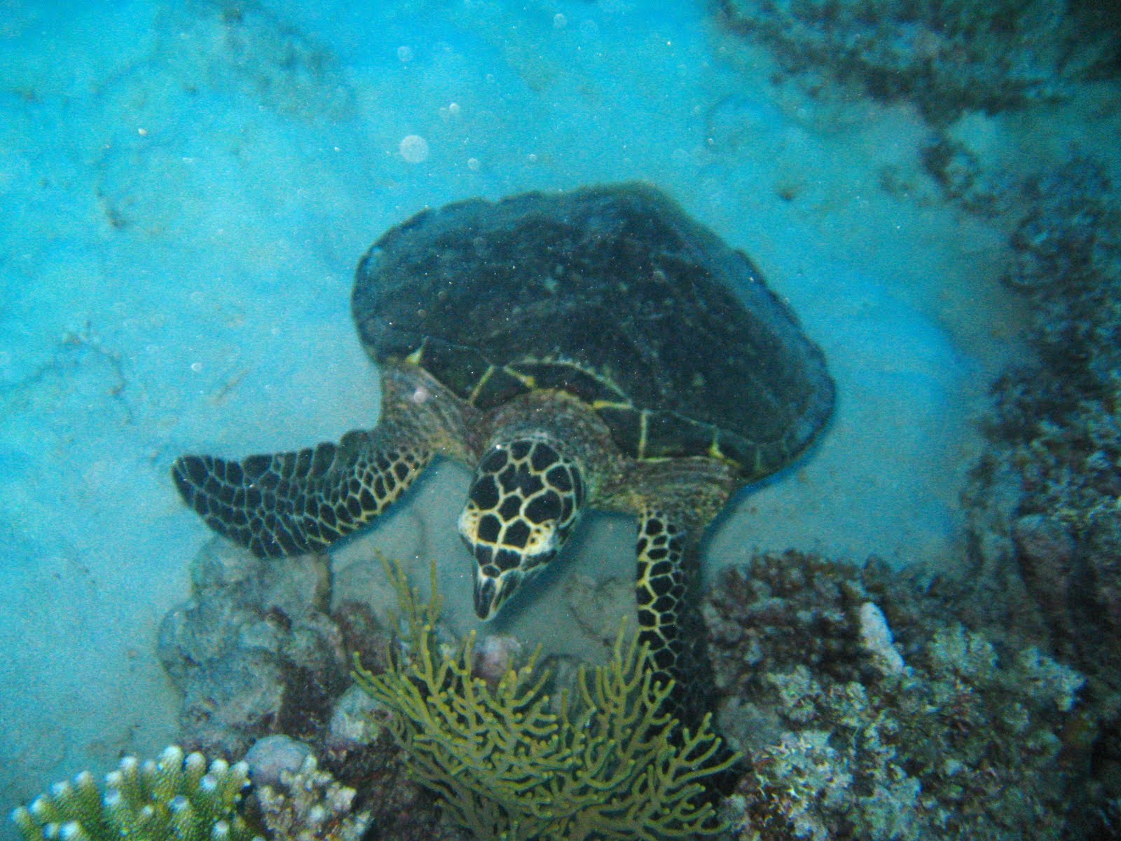 [IMG_3746.JPG]